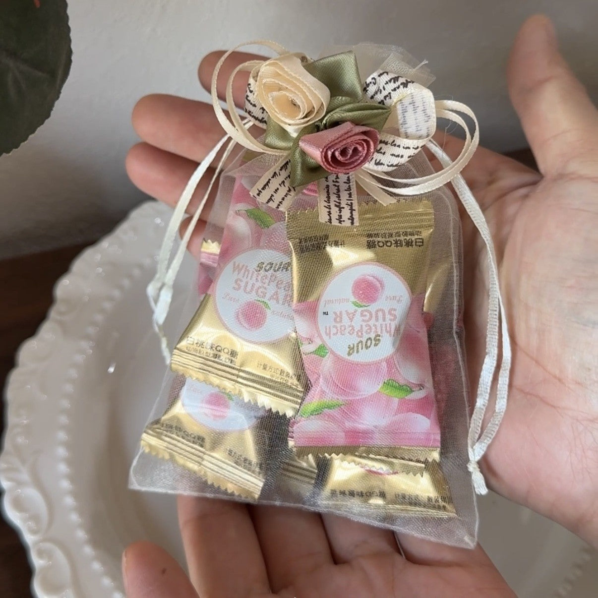 Velmiette Organza Drawstring Gift Pouch